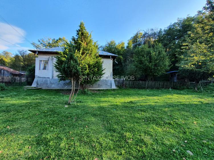 Puciosa Moreni Valea Lunga Sat Izvoru 20000mp teren de vanzare - 2