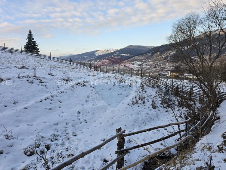 Teren 2,833mp Vatra Dornei / None - 3