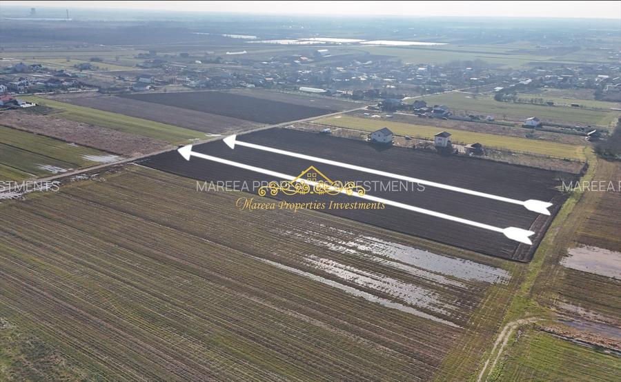 Teren intravilan case 10.000 mp, Str Sportului, Ulmi - 4