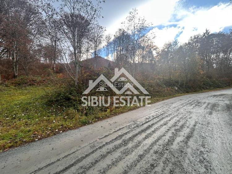 Oportunitate de investiție – Teren pentru hotel / pensiune pe Valea Avrigului - 6