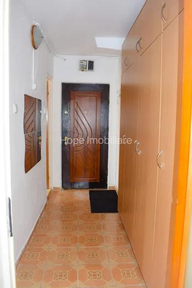 Teiul Doamnei - Garsoniera bloc mixt - 8