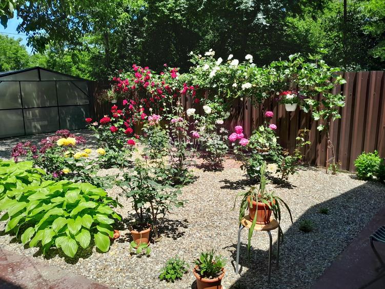 VANZARE CASA 5 CAM P+1 IN SAT MOVILITA (IL) - 8