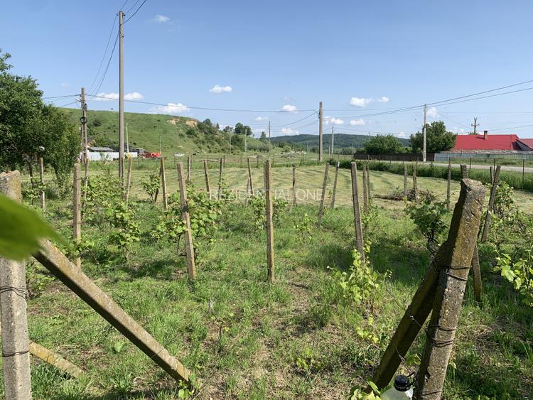 Casă + teren 2600 mp- Com. Negri- scop rezidențial sau industrial - 6