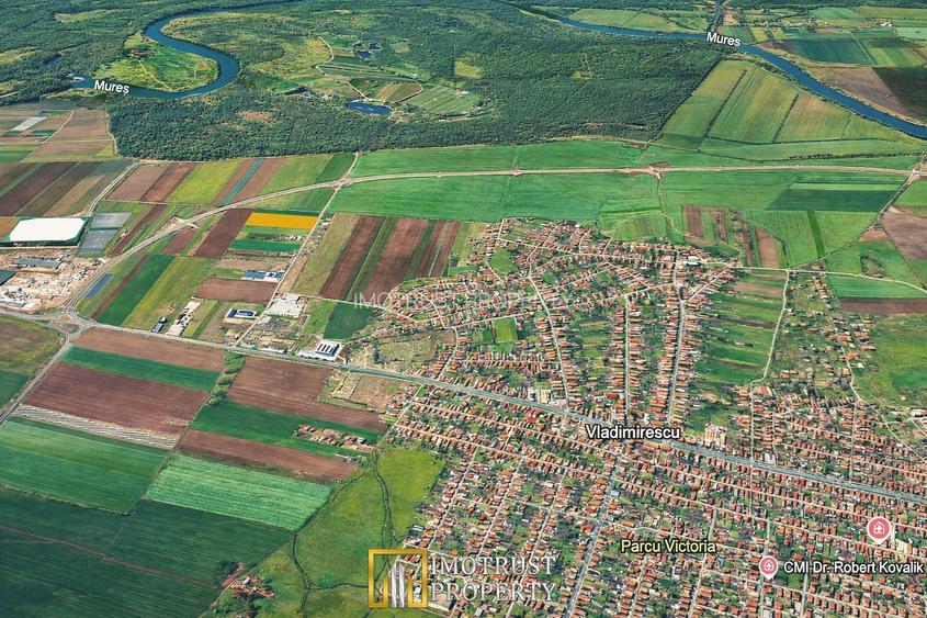 Teren pentru investiție în Vladimirescu, Arad – 20.000 mp - 3