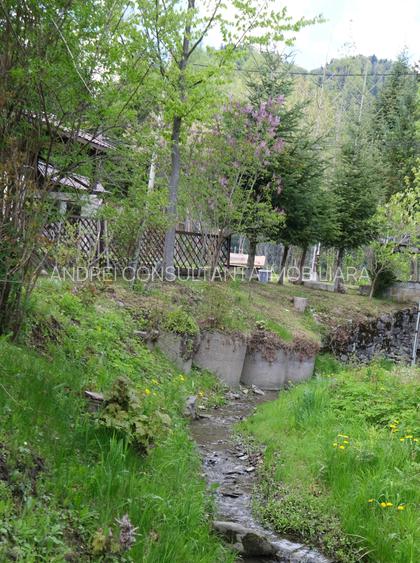 Vanzare 2 vile noi, mari superbe si 1905 mp teren la munte in Cheia Prahova - 36