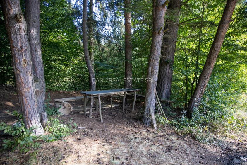 Teren intravilan 6800 mp, zona Lacuri Vulcan, Brașov - 11