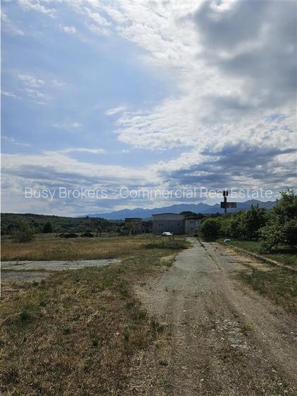 Proprietate Industriala - Productie - Industrie Alimentara - 38