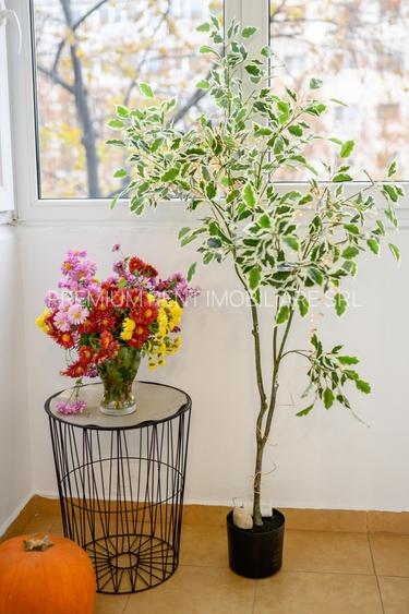 Dristor-Ramnicu Valcea, garsoniera moderna, bloc mixt, PET FRIENDLY - 32