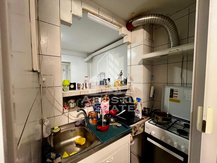 Apartament 3 camere, parter inalt, zona Lipovei, Timisoara, jud.Timis - 12