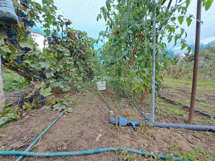 RECO casa Salard - 19