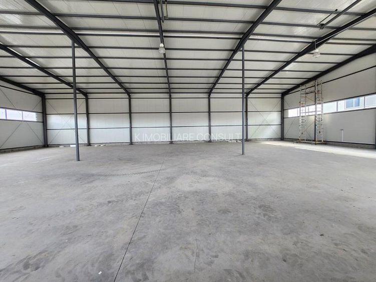 Pantelimon hala noua 500 mp - 8