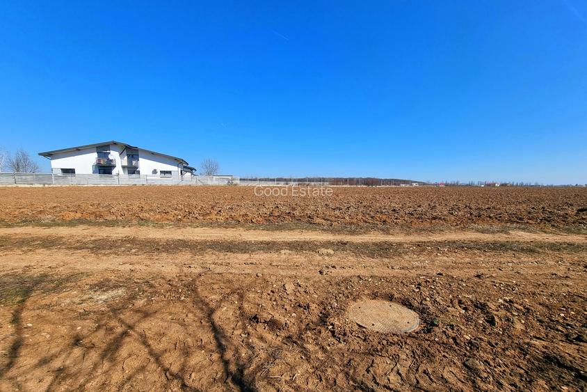 Teren intravilan 13175mp utilitati Ciolpani Strada Alunisului - Padurea Snagov - 8