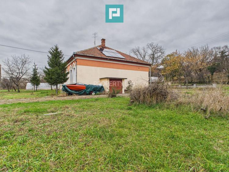 CONAC IMPRESIONANT ÎN GHIOROC - 24