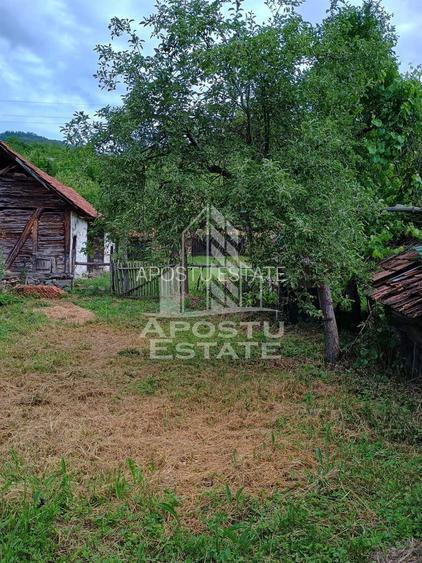 Casa batraneasca de vanzare, 4 camere, in Hunedoara, sat Micanesti - 38
