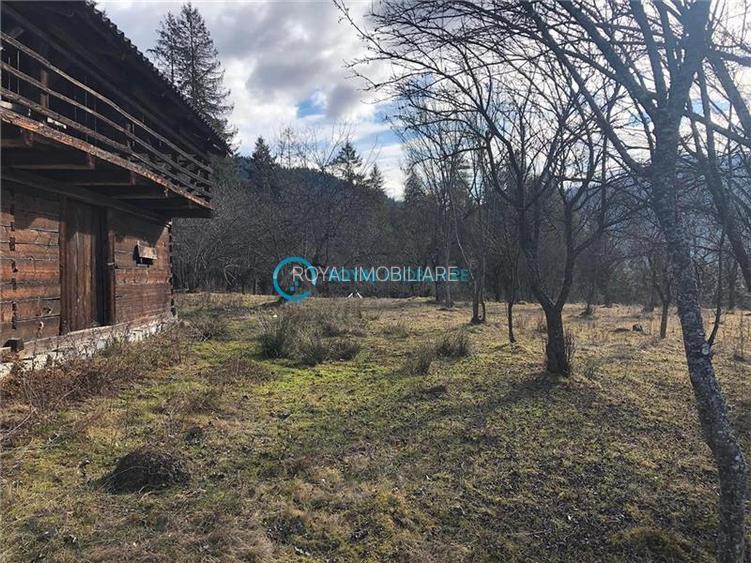 Royal Imobiliare-Vanzare Teren Zona Voineasa - 2