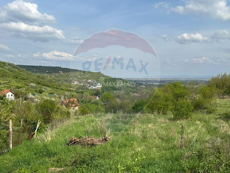 Teren intravilan Podgoria - 3