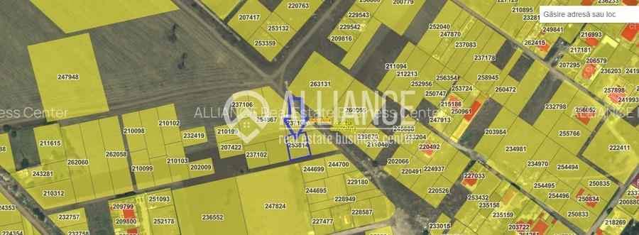 VIILE NOI - Teren în spate la Vila Cucoanei - 3