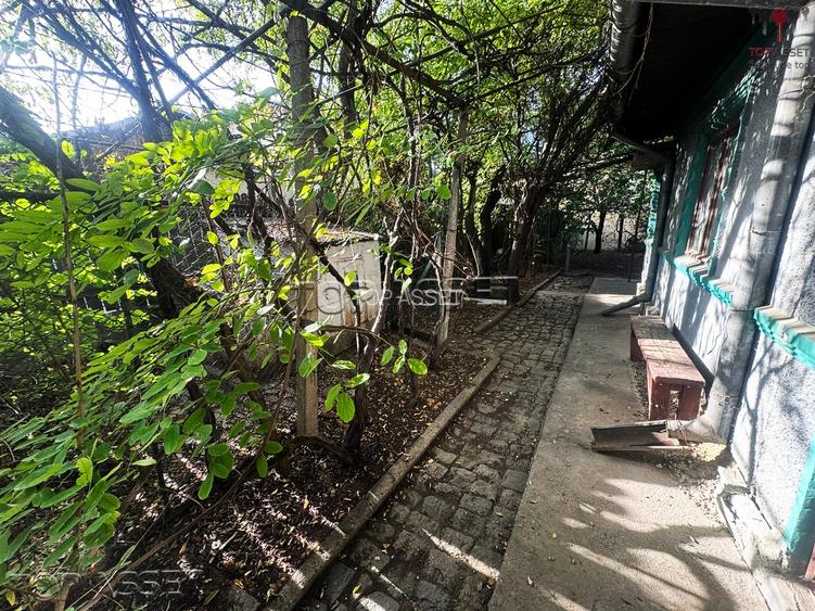 Pantelimon Central - 8