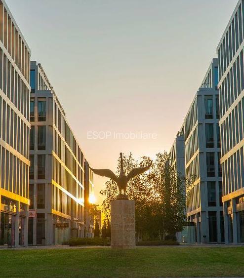 Swan Office Park cladirea Kingston, Nord, 200 - 3500 mp  0% comision! - 13