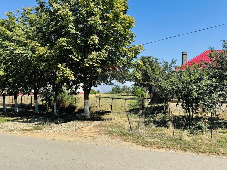 Teren 2,841mp Apateu / Strada Principala langa Biserica Ortodoxa - 18