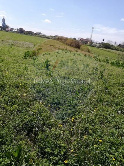 De vânzare teren intravilan, 6574 mp în Leș - 6