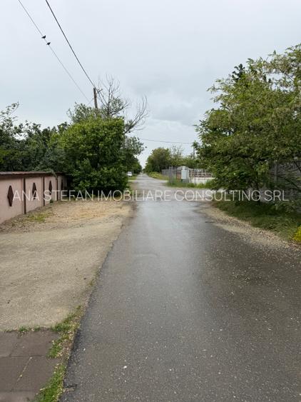 Mihailesti l Casa de vanzare din lemn  P+M 2008 l 220 Mp Utili l 800 Mp Teren l - 30