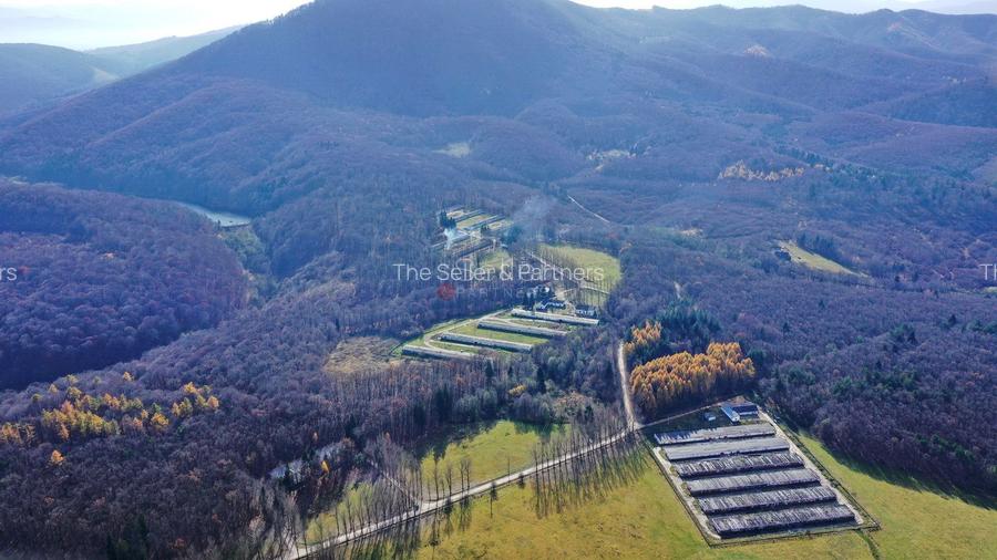 Teren Intravilan - Amplasare Unica - 17