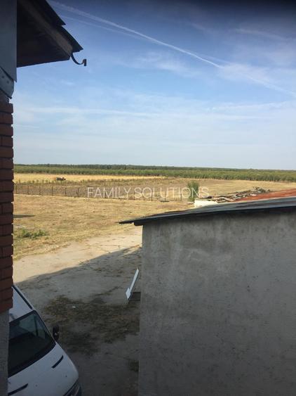 De Vânzare – Fermă de Pomi Fructiferi, 48,8 ha, Iancu Jianu, Jud. Olt - 6