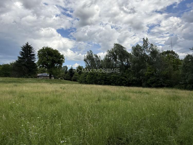Teren intravilan 683 mp deschidere la strada asfaltata ! - 10