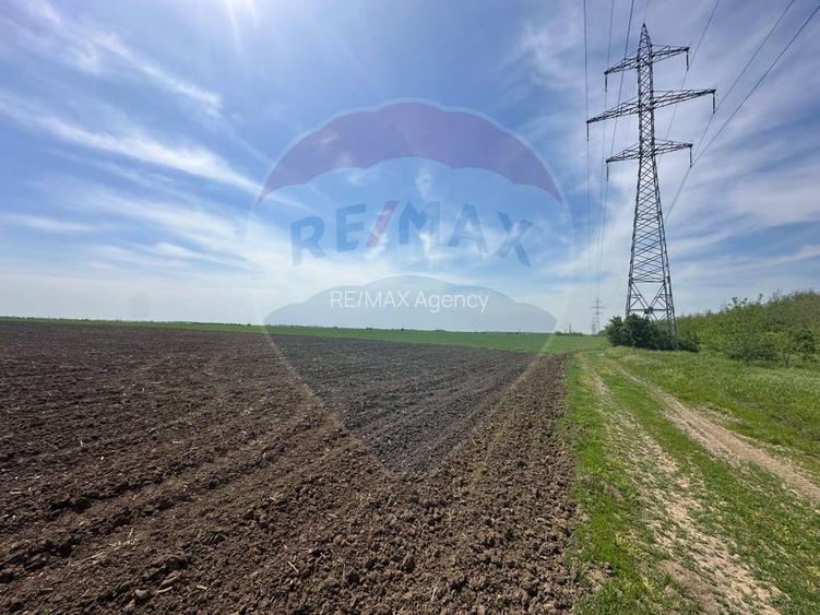 Teren 138.104 mp Dragomiresti-Vale, Ilfov, langa A0 - 4