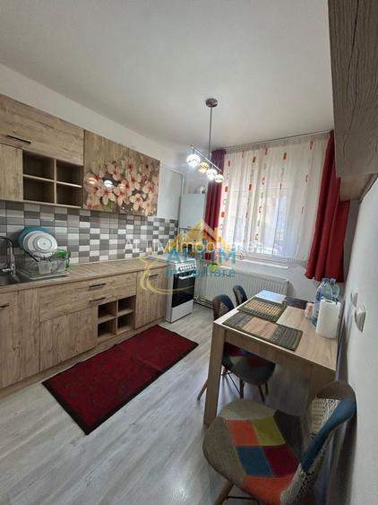 Apartament 4 camere Florilor-Craiter - 5