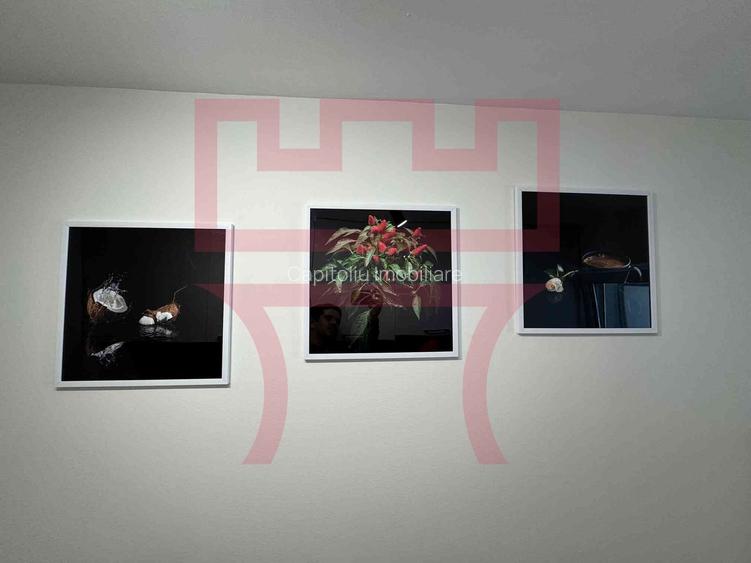 Prima inchiriare apartament renovat 1 camera Calea Turzii Panemar - 16