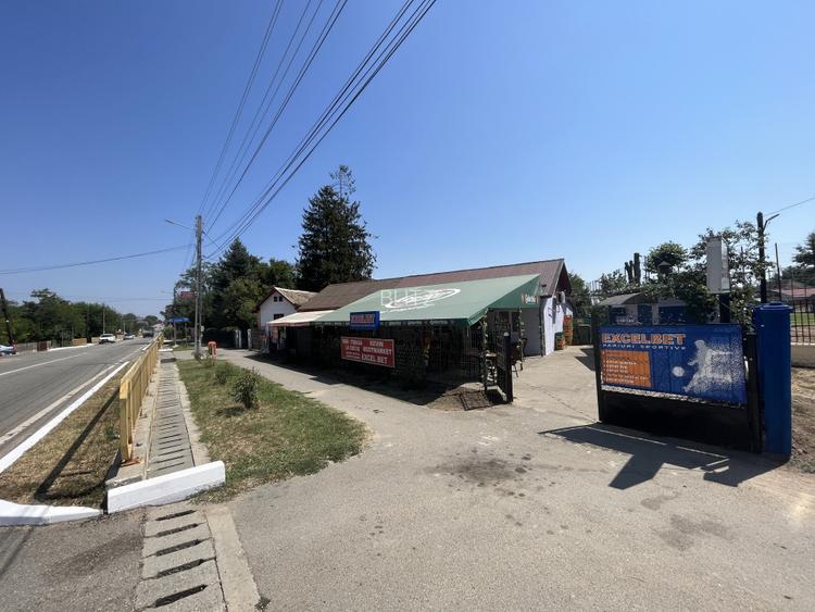 Popas La Doi Brazi - magazine, bar, terasă, casă boierească, grădină și piscină - 3