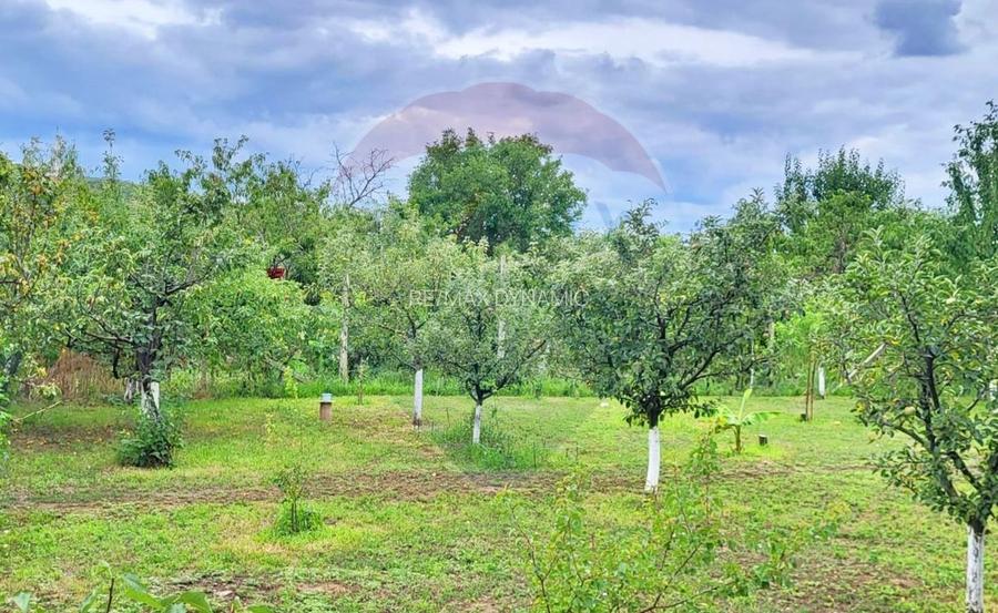 Casă 3 camere de vânzare în Miniș, jud. Arad - 4