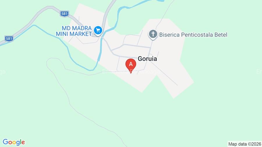 Casa Goruia cu teren,gradina,livada de pruni si pădure  - 10