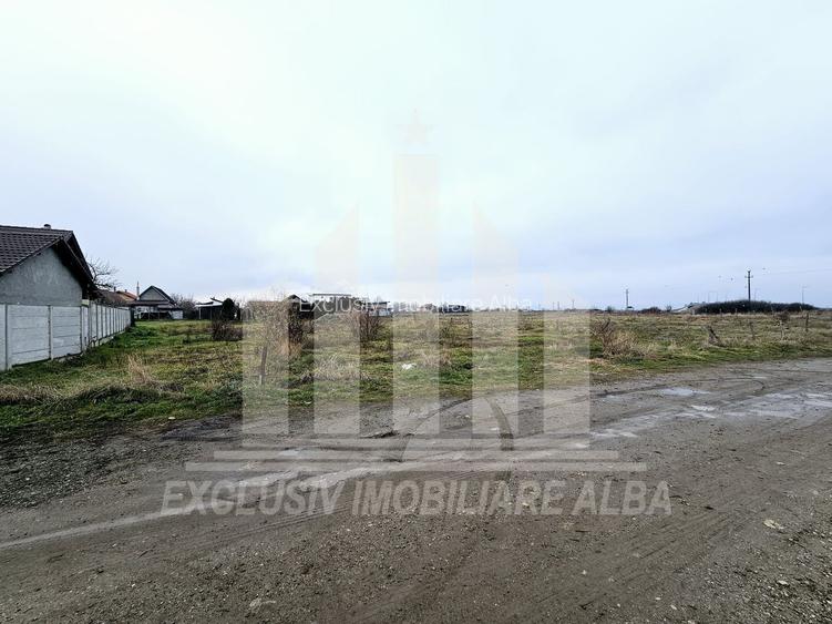 Teren intravilan | De vanzare | 5500 mp | 20 ml deschidere | Sebes - 2