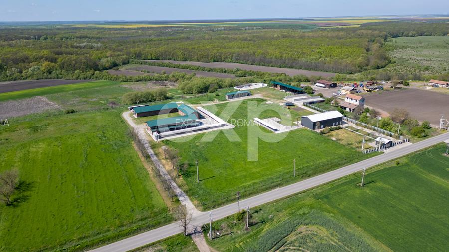 Black Angus Farm with authorized Slaughterhouse - 9