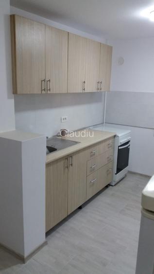 Inchiriez apartament renovat cu 2 camere decomandate - strada Paltinis - 10