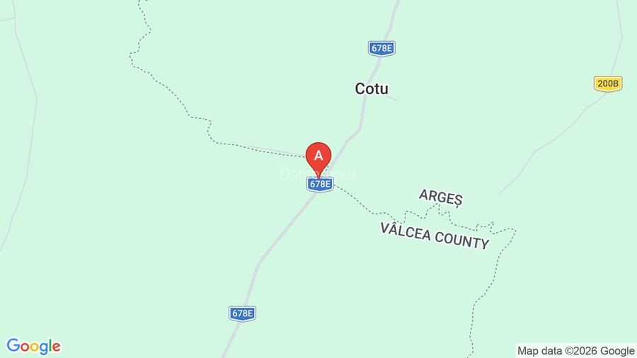 Teren vanzare, 8000 m2, Danicei, Cuca, Arges - 7