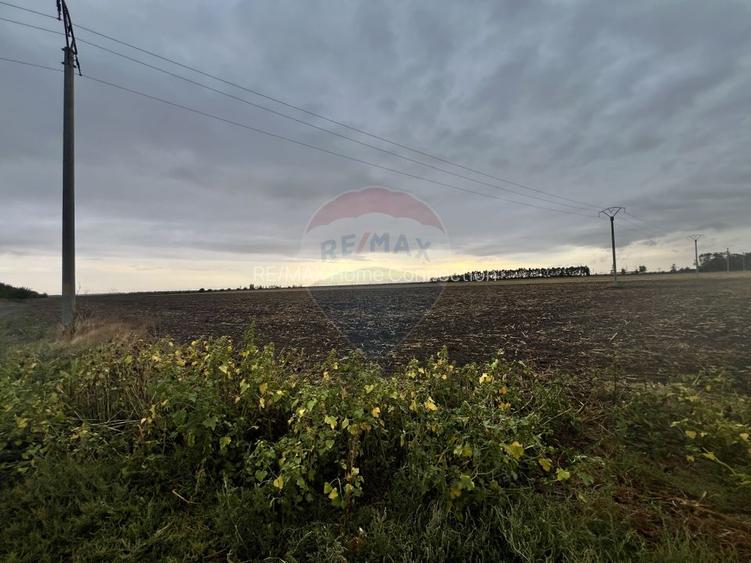 Teren cu potențial de investiție – Lehliu, Lehliu Gară, jud Călărași - 10