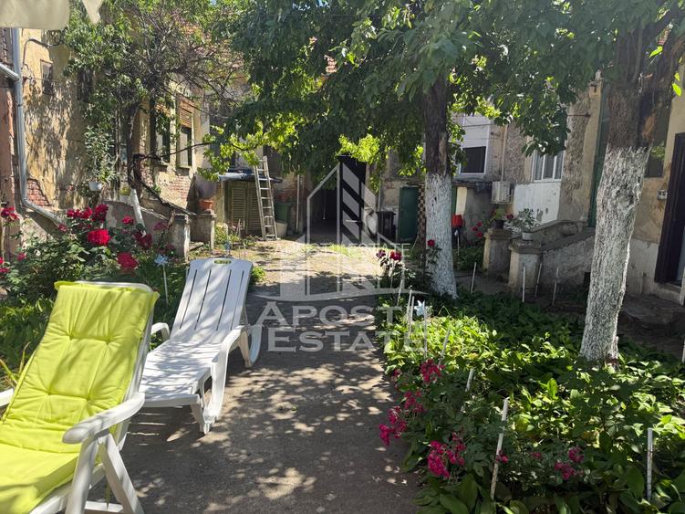 Două case de vânzare în aceeași curte zona Maria - 7
