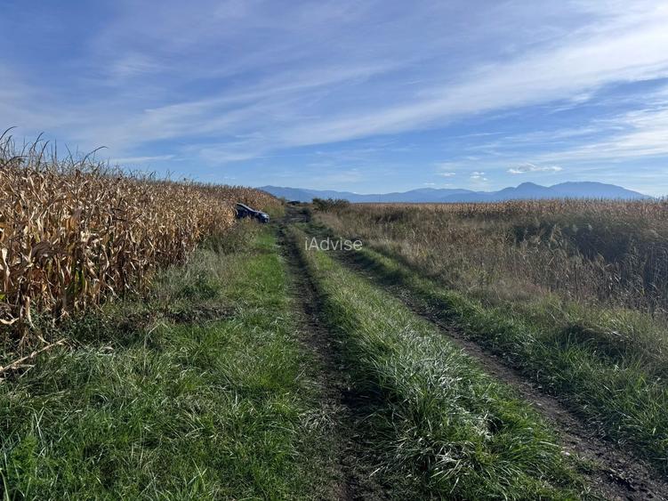 Teren de vanzare in Harman 4,4 Hectare - 6