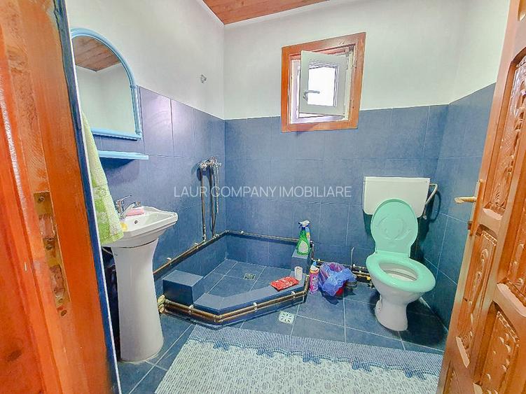 Casa Costesti Arges - 14