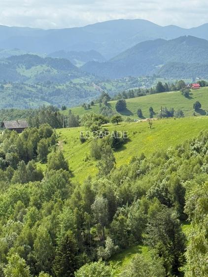 Teren superb intravilan  Pestera- Brasov, 11.908 mp - 13