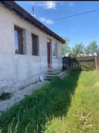 Reco  Teren 5800 mp in Ghenetea | Strada asfaltata recent - 5