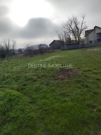 TEREN DE VANZARE DOMNESTI, 600 mp - 7