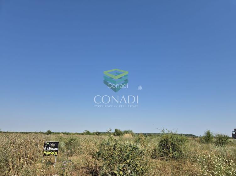 Teren de vanzare cu autorizatie pentru 2 hale - Otopeni - 10.000 mp - 16