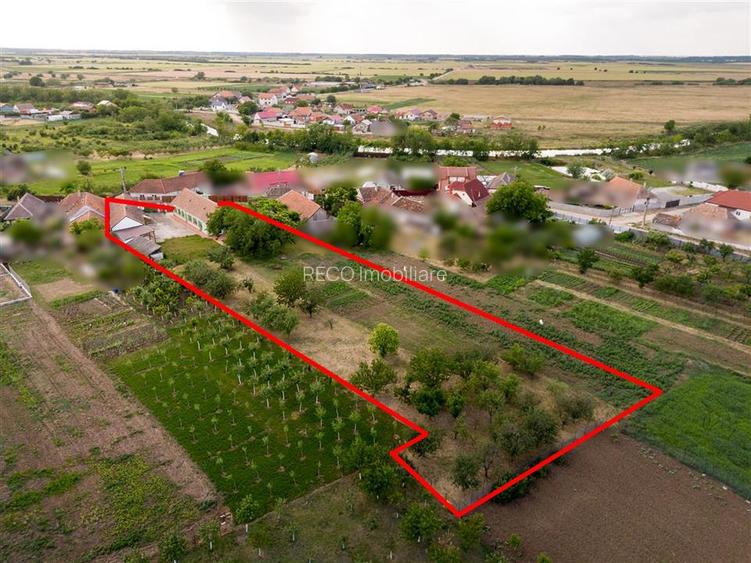 RECO Proprietate cu 2 case si teren mare in Girisu de Cris - 37
