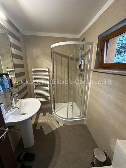 Proprietate cu piscina Dumbravita - 37