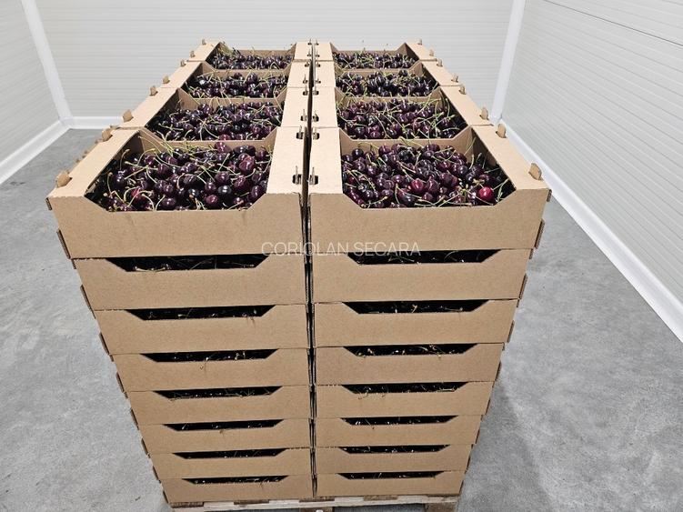 DE VANZARE  sau Parteneriat   PLATFORMA AGROINDUSTRIALA ARAD  - 5